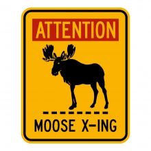 Maine Moose X-ing